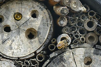 This is a bug hotel, which families can make at the Build a wildlife hotel event at RSPB Burton Mere Wetlands this Easter holiday.  Photo by Nick Upton.